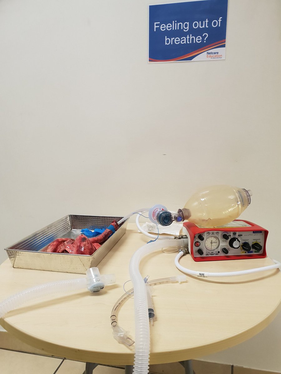 TanyavT's tweet photo. Netcare FECC open day! #FeccTribe https://t.co/F4lKPXuMqZ