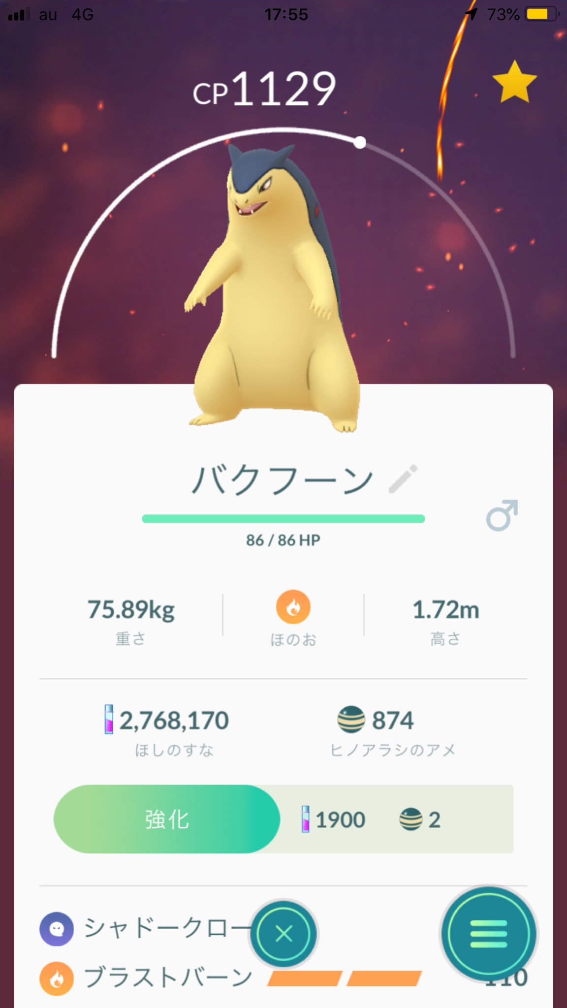 ポケモンgoヒノアラシ Twitter Search Twitter