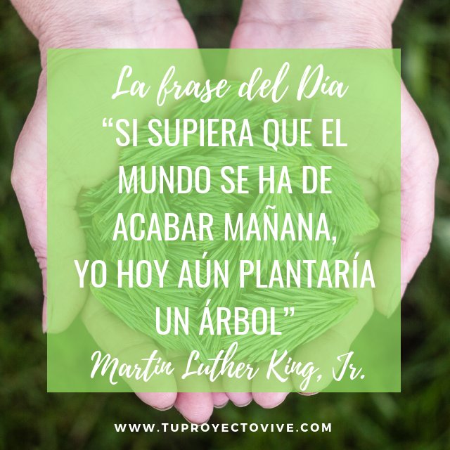 vive_proyecto's tweet photo. Y con una #frase de @MartinLutherKing,Jr. les deseamos un #FelizSabado https://t.co/WjpePfeQax