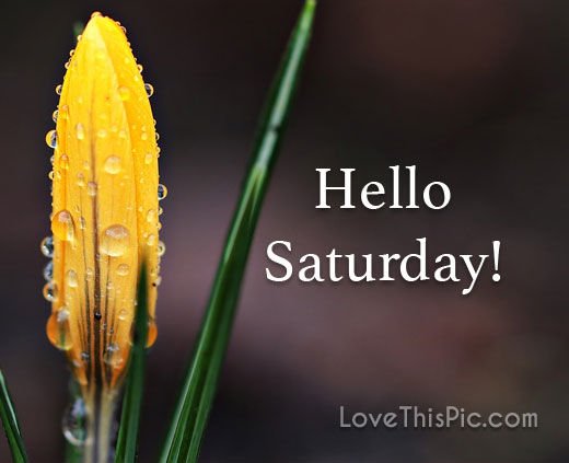 APJAccountancy's tweet photo. Ah, Saturday… A day of rest… Rest of the laundry, rest of the house and rest of all the other stuff I put off on Friday! https://t.co/6dnOBHzKz5