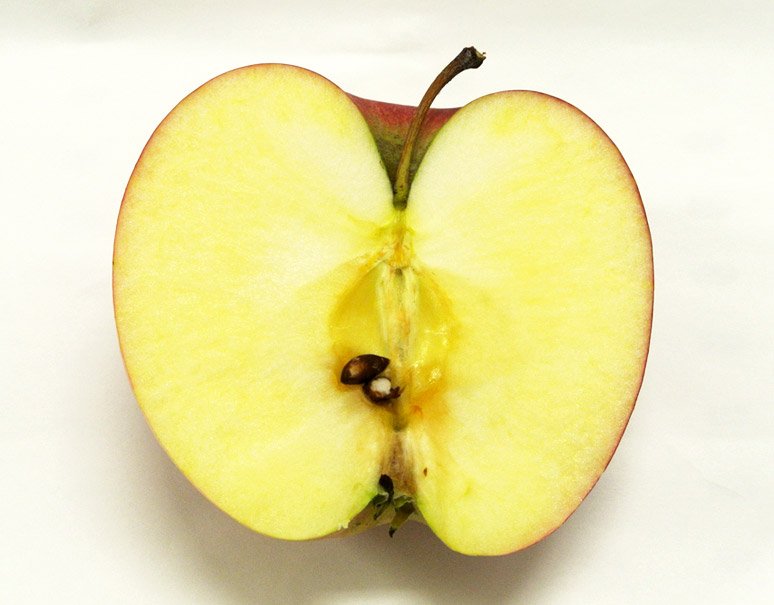 豊洲市場ドットコム ゴールデンデリシャス の自然交雑実生です 陽光 ようこう 群馬県生まれのりんご ですが今回は長野県産を入手しました 外皮はイラストに描けそうなほどに明るい赤色 横にスライスした断面図も 綺麗な星形 が現れてくれまし