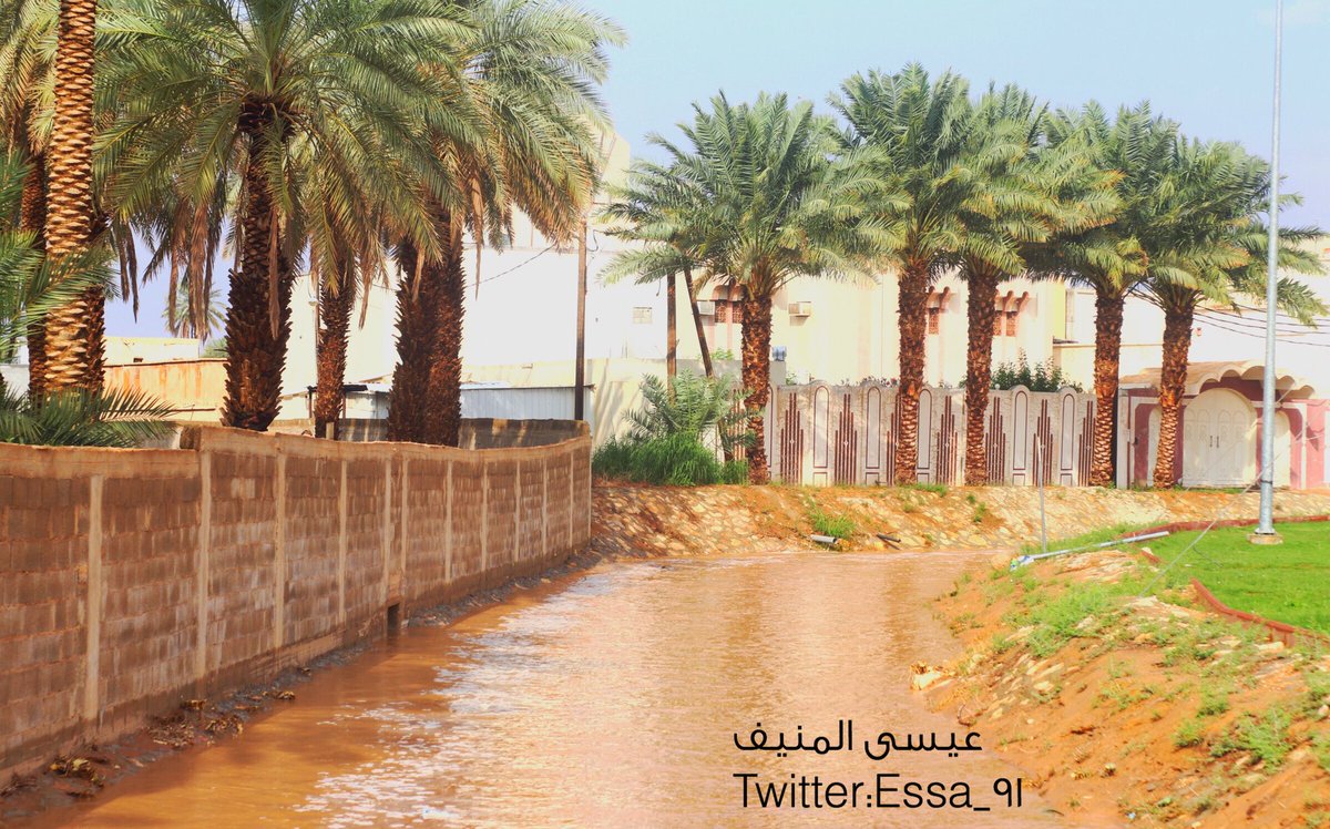 essa_91's tweet photo. -صور من سيول نعجان 1440 https://t.co/Sdr9DFsNeO