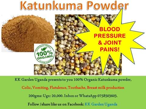 KkGarden's tweet photo. This bitter fruit has chemicals that deal with the cholesterol in the blood, preventing it from piling in your blood vessels which could result in high blood pressure, strokes, or diabetes. https://t.co/jVJ8nlcq4i