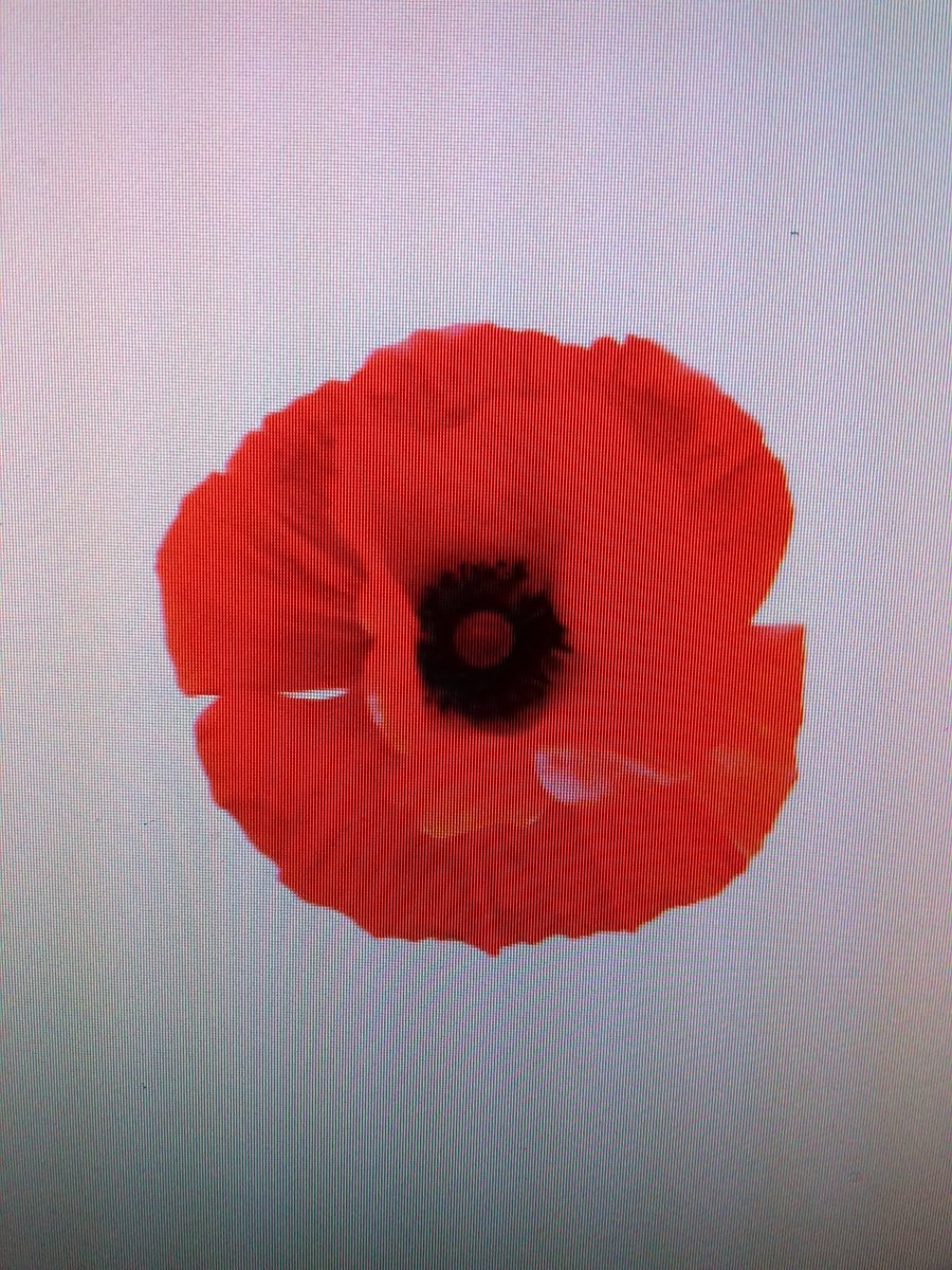 Fred Mélin tweet media