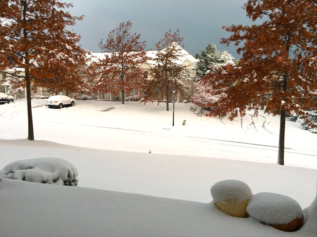 ETNmillette's tweet photo. So this happened overnight, somehow, in Fairview... #ErieWeather #ErieLive #FirstSnow #Snow #WinterWonderland https://t.co/KoKMjoDDf0