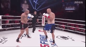 The Fight Nation tweet media