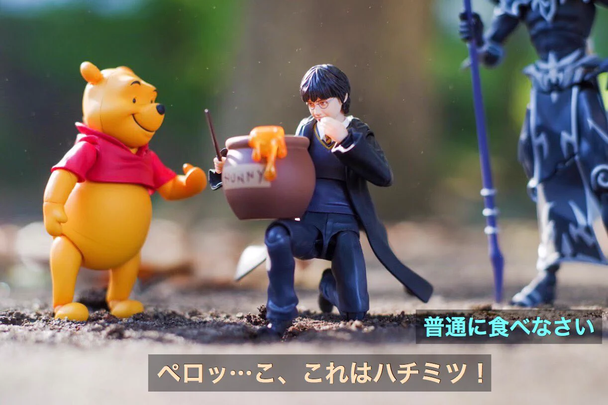 影響されすぎな名探偵ハリーwwwシュールすぎてwww