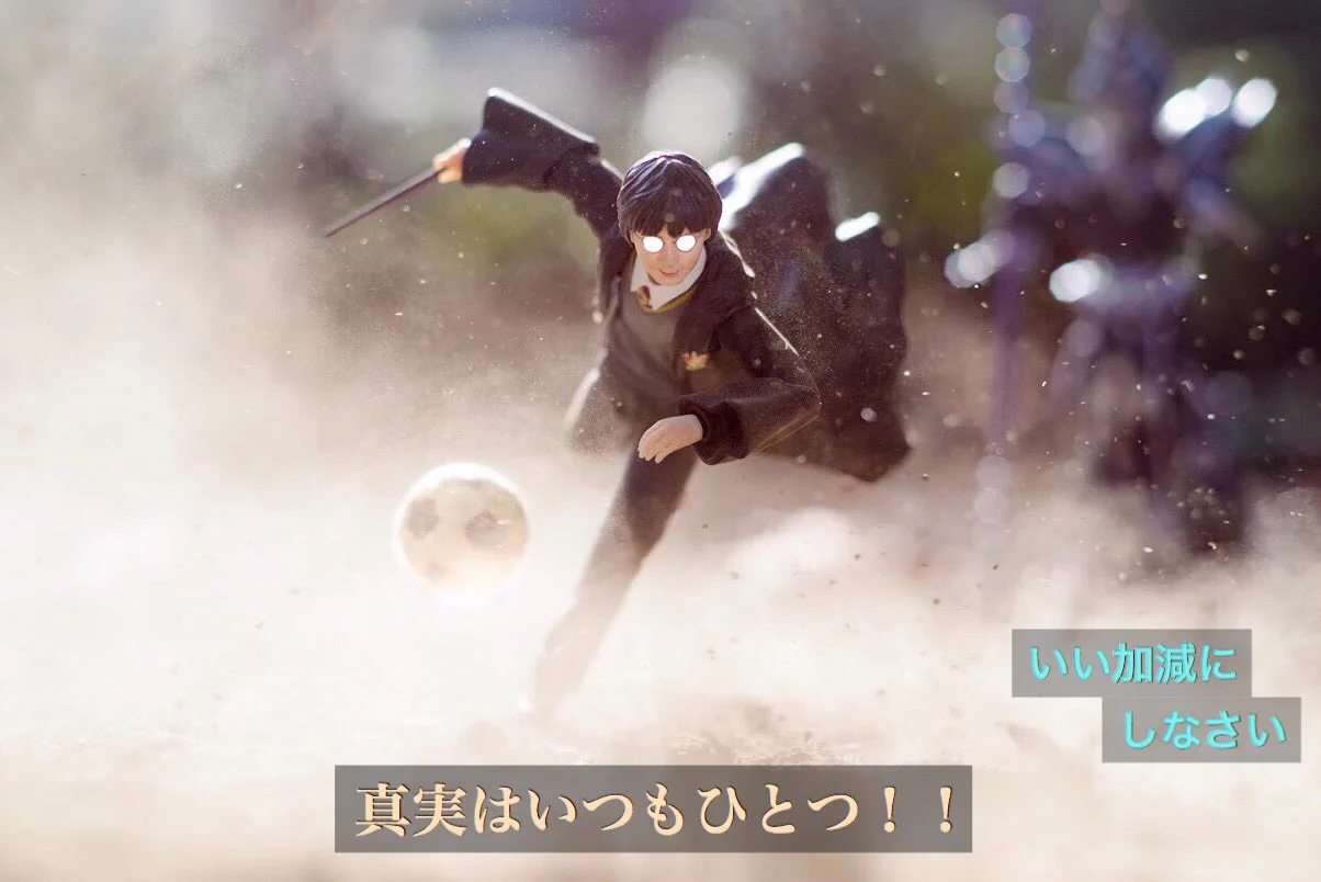 影響されすぎな名探偵ハリーwwwシュールすぎてwww