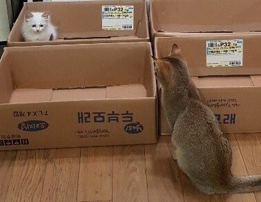 first met, interview season with the oldest unnies