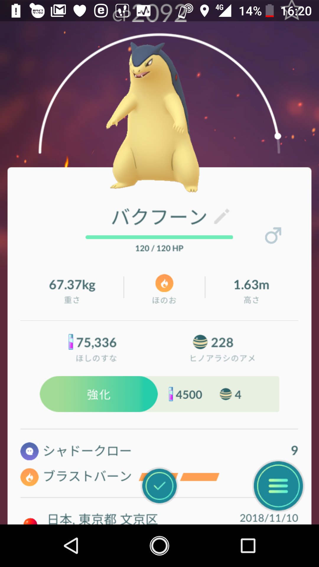 封神龍 ワクチン2回目接種仕様 ポケモンgo コミュニティー デイ ヒノアラシ でとりあえずはブラストバーンを覚えた バクフーン 通常色と色違い 進化させてゲットできた T Co K4pzbyugua Twitter