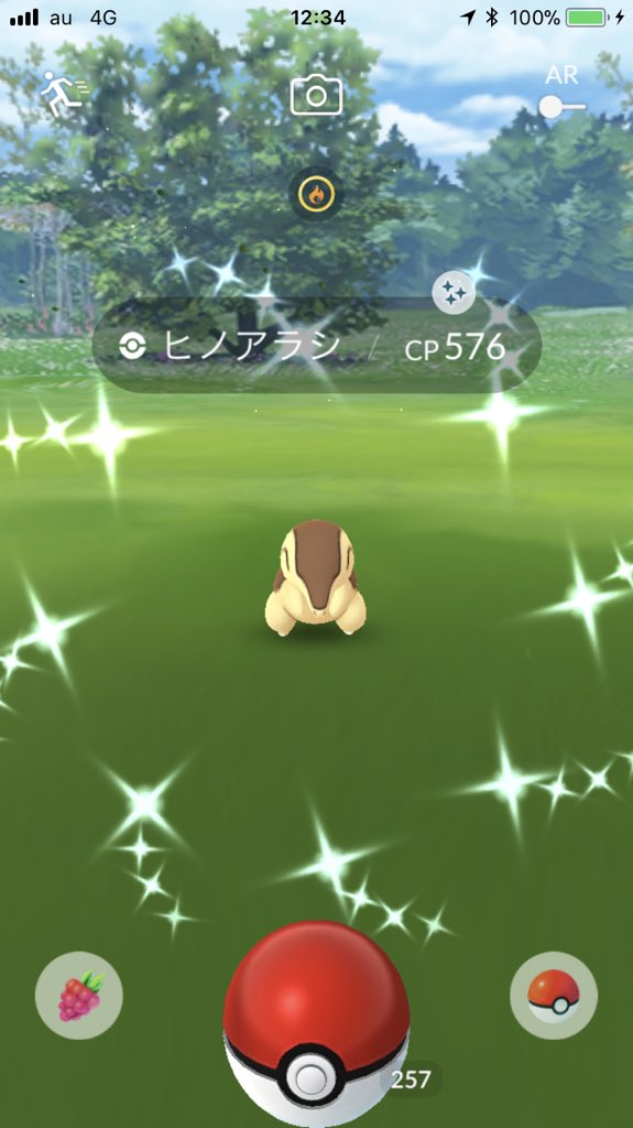 Tkoのポケモンgo日記 2ページ目 Togetter