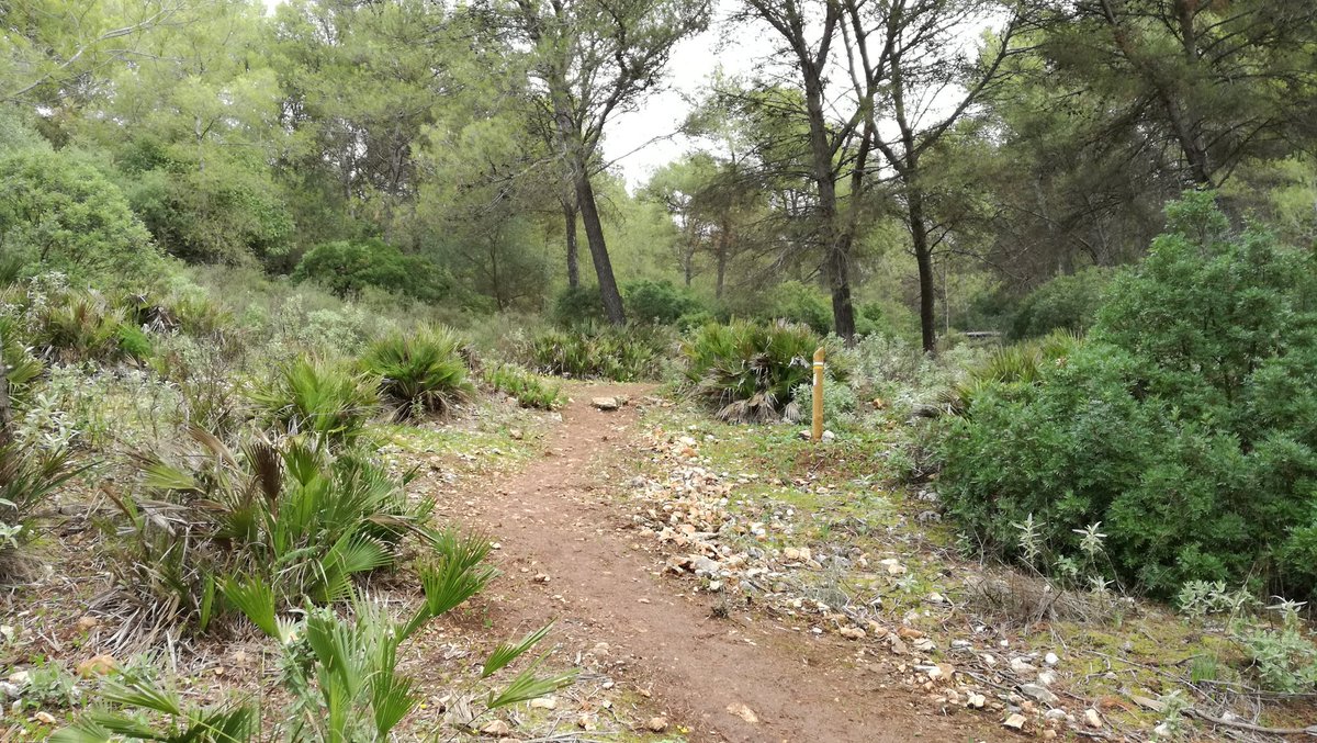 DeporteAND's tweet photo. El consejero de @TurismoDeporAND visitando en #Montellano el #sendero PR-A 409 donde se puede practicar #deporte y #turismo en plena naturaleza al mismo tiempo #Sevilla #AndaluciaesDeporte #intensamente @AndaluciaJunta https://t.co/DrIGUCwFPc
