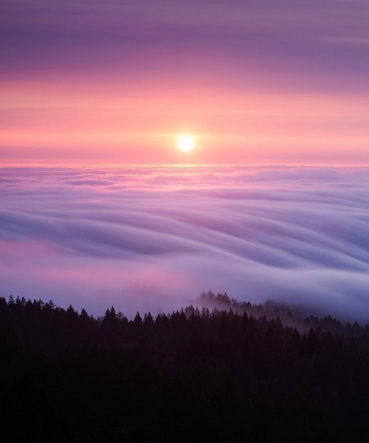 earthcurated's tweet photo. "There is nothing permanent except change." #SaturdayMorning https://t.co/djuyEiYABH