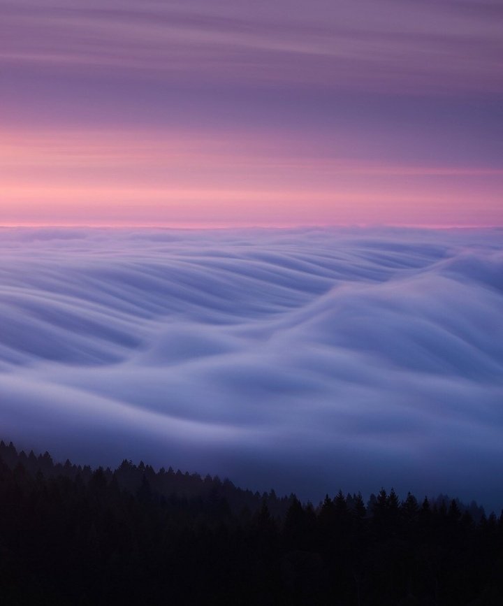 earthcurated's tweet photo. "There is nothing permanent except change." #SaturdayMorning https://t.co/djuyEiYABH