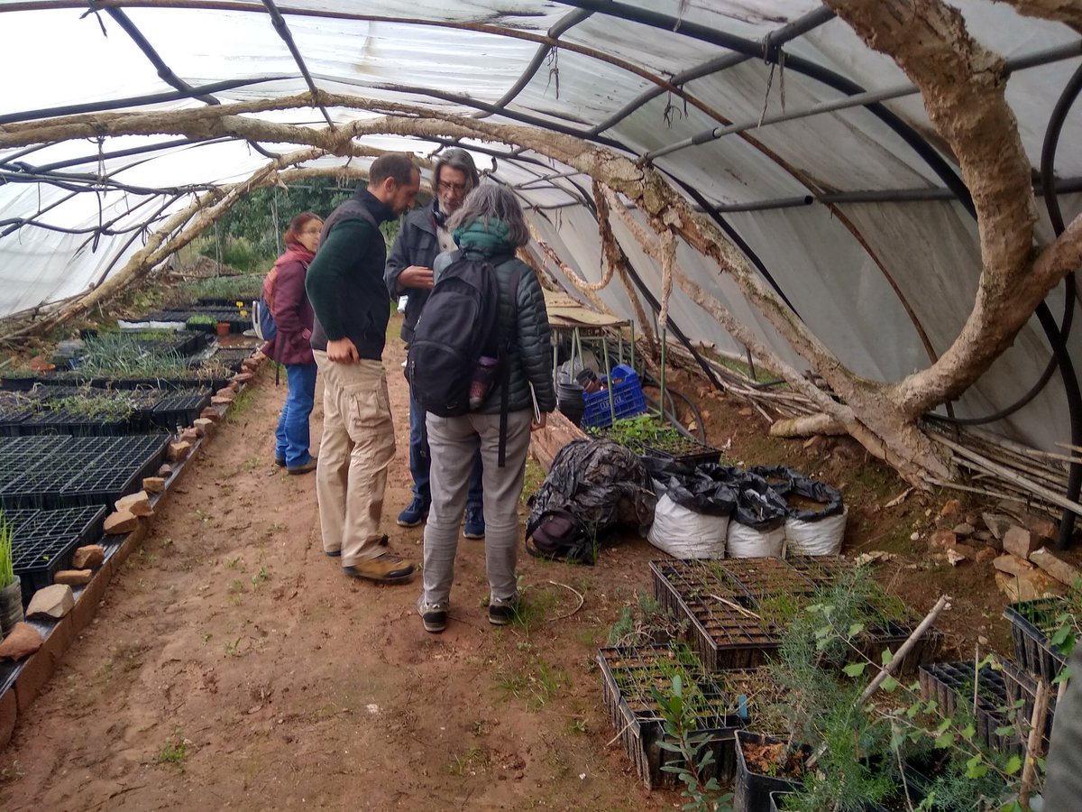 pablovera_g's tweet photo. En las #VIIJECT visitamos el Paraje Natural Municipal de La Costera en #Puçol para conocer el proyecto de #CustodiaDelTerritorio de @AEAgro con el Ayuntamiento de Puçol para la educación ambiental y participación en la mejora ambiental del espacio. Una gran iniciativa! https://t.co/RsEqN1vCoy