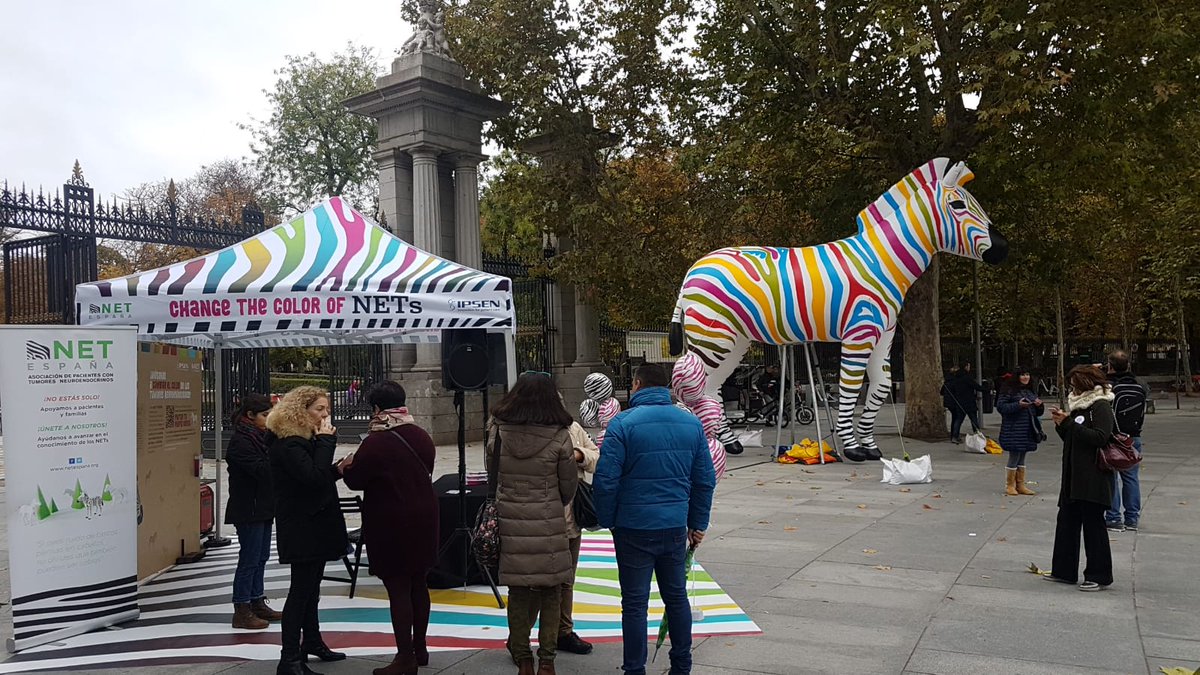 Duomo_Com's tweet photo. En el parque del Retiro, @Netespana e #IpsenPharma promueven la visibilidad de los tumores neuroendocrinos con su cebra como símbolo de esta enfermedad rara cuyos síntomas se camuflan #ChangeTheColorOfNET https://t.co/0793RcFNPS