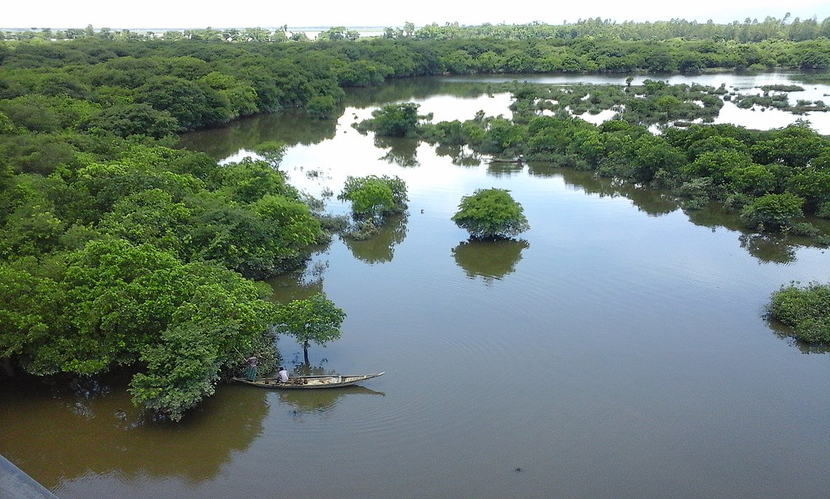 SmariAbder's tweet photo. What is the importance of the world’s #wetlands? What is their current state &amp; what can be done to look after the remaining wetlands?
Pr Max Finlayson @MaxFinlayson, a lead author of the #GlobalWetlandOutlook of @RamsarConv, answers.
➡️ https://t.co/354RfopYla

#RamsarCOP13 https://t.co/m2NaLbfDeT