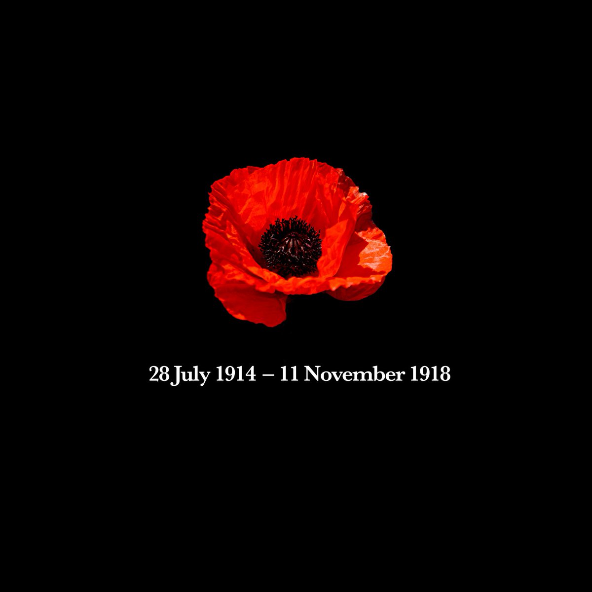 LASTEXITshirts's tweet photo. Over 16 million people died. 
Casualties estimated at around 37 million people.

28 July 1914 – 11 November 1918.
Lest we forget. https://t.co/xNdeRRHQD7