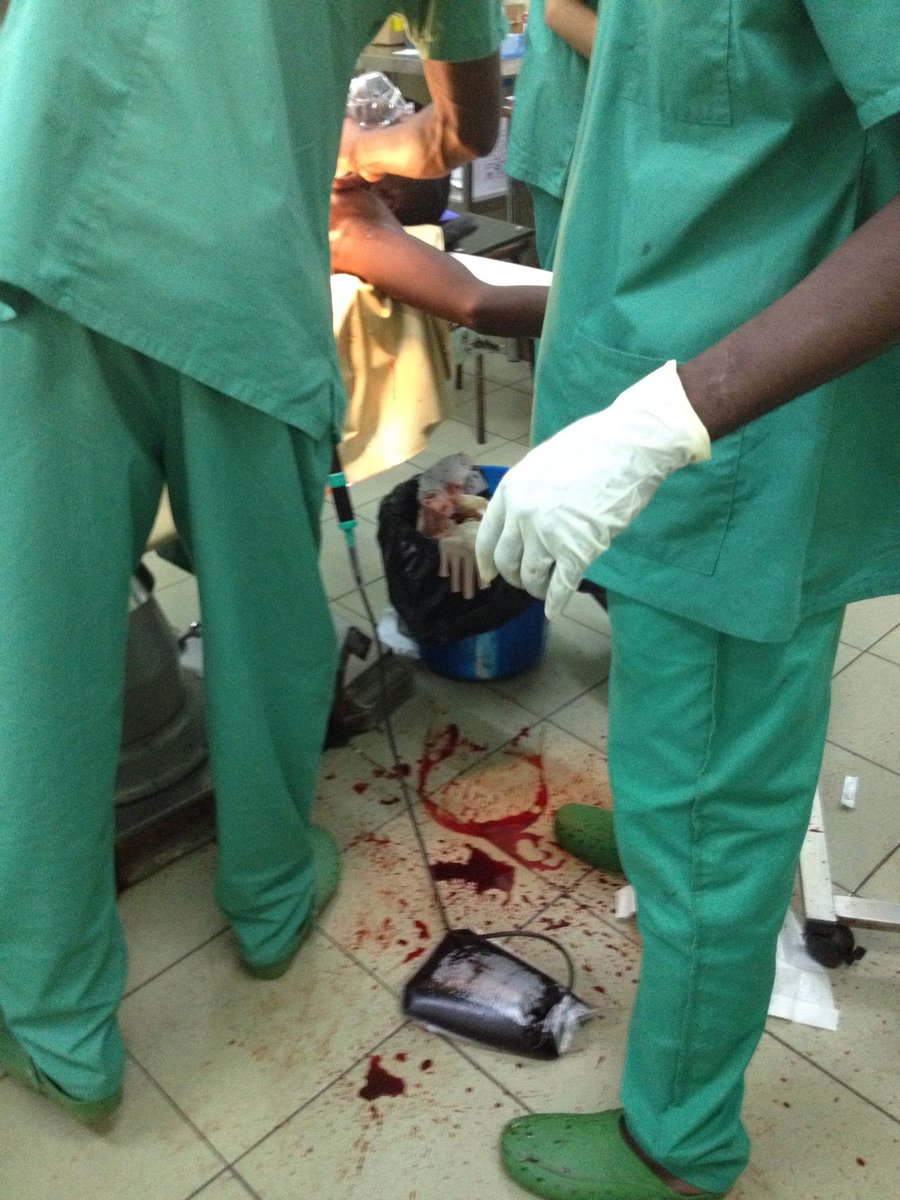 Kathrine Holte tweet media