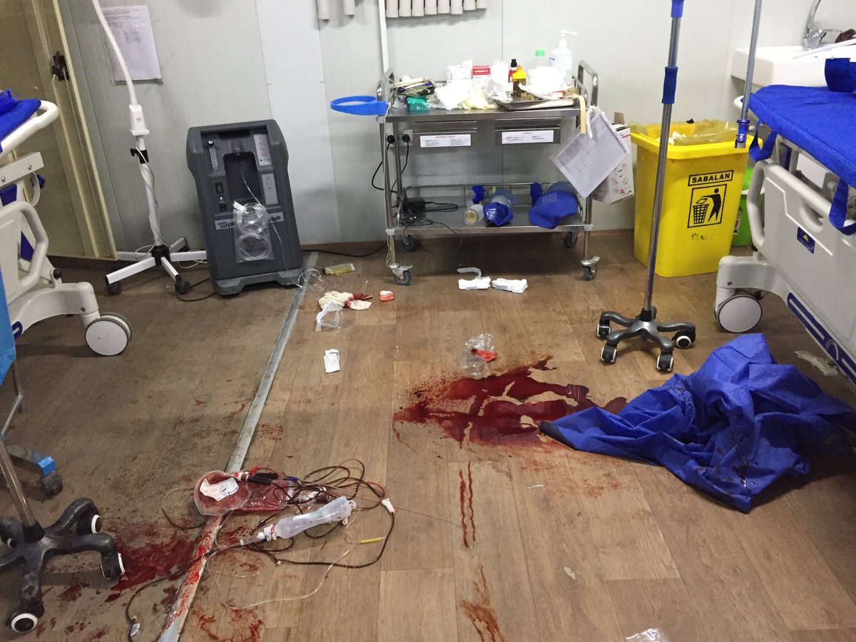 Kathrine Holte tweet media