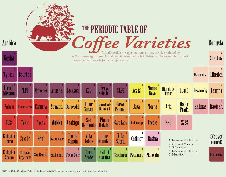 Check out this table of different coffee varieties!  ☕️

#coffee #SaturdayMorning #SaturdayThoughts #specialitycoffee #WeekendWisdom #saturday #SaturdayVibes