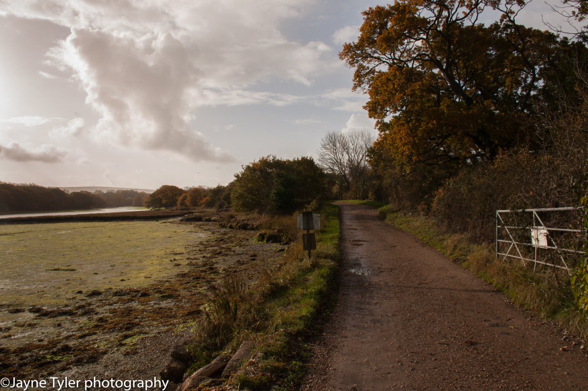 Zakitina_Lily's tweet image. Just been for a lovely walk near #shalfleet on the #isleofwight great places to see even in Autumn @VisitIOW