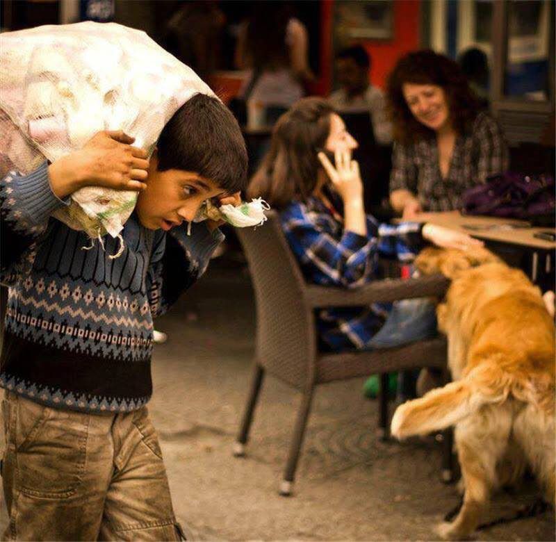 في زمن الفوضى وشريعة الغاب من أكثر مشاهدِ الحياة ألماً أن ترى : حيواناً مدللاً و إنساناً مُعذّباً !