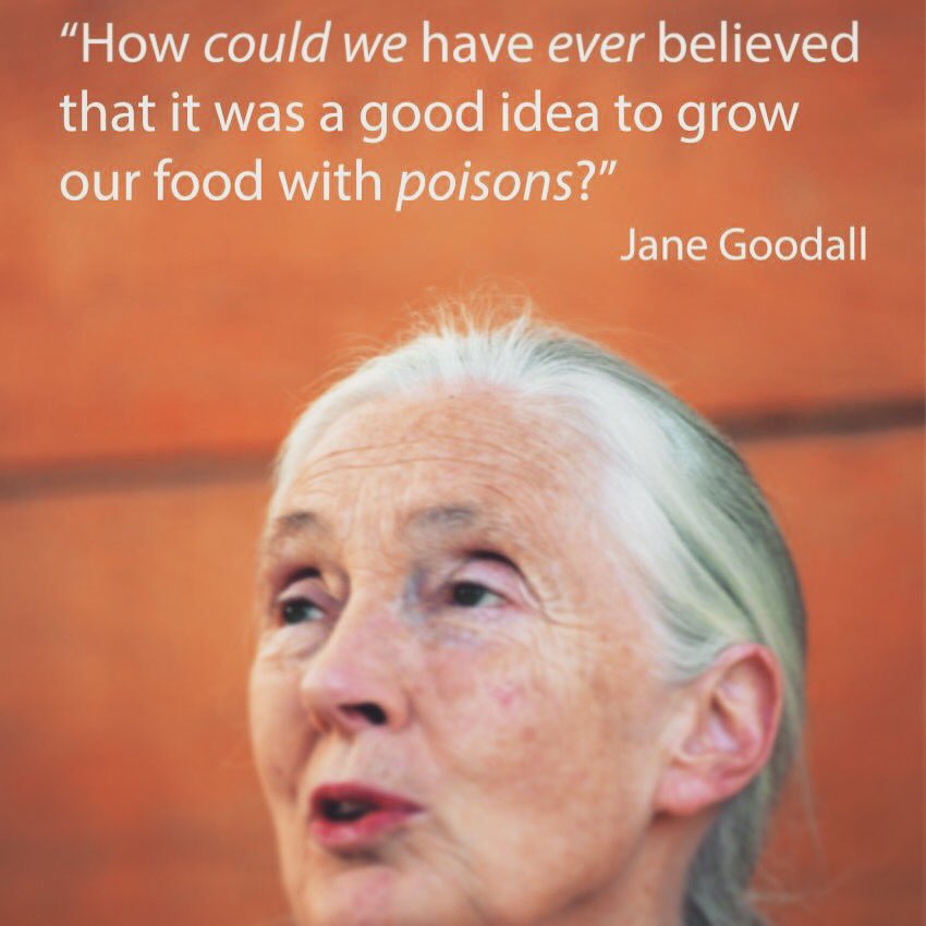 BioLief's tweet image. Hoe hebben we ooit kunnen denken dat het een goed idee was om ons eten met hulp van chemicaliën te laten groeien? #logischnadenken #biologisch #wijsheid #natuur #puur #onbespoten #respectvoordenatuur #biolief