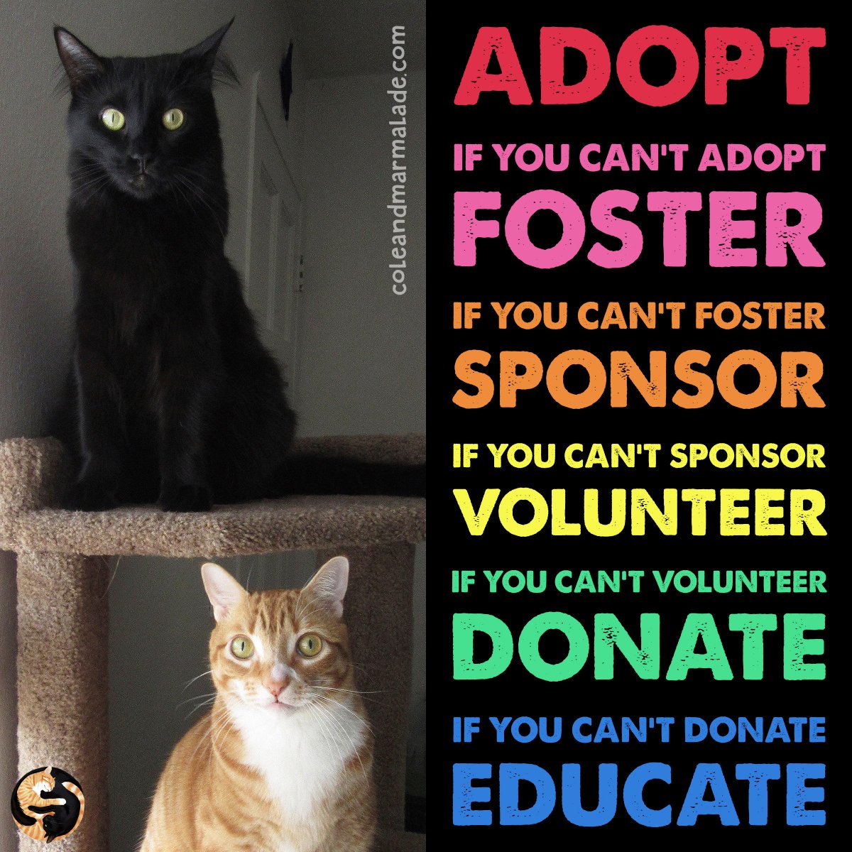 Together WE can make a difference! ❤️

#ColeAndMarmalade #PromotePawsitivity @PetSmart @PetSmartChariTs 
#NationalAnimalShelterAppreciationWeek #NationalAdoptionWeekend #PicMe