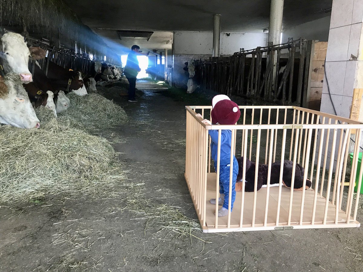 Väterkarenz am Land.