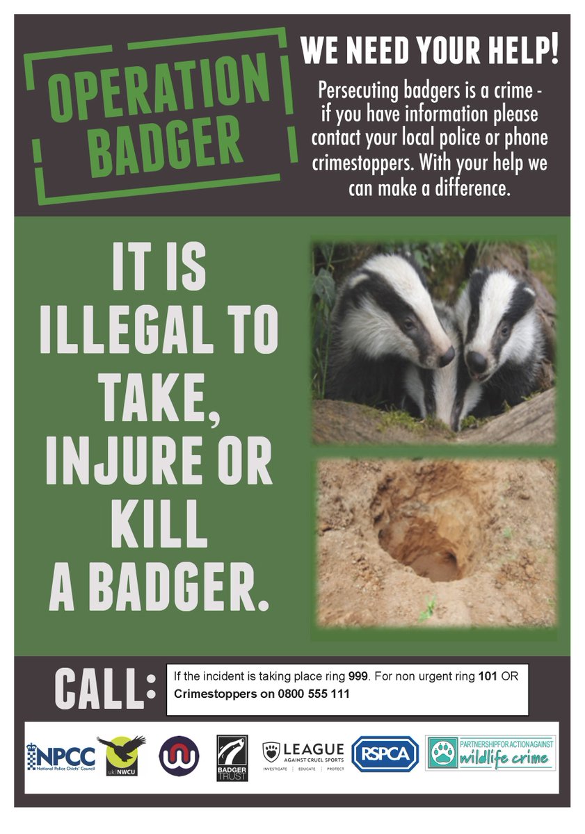 Suffolk Police on Twitter "It is illegal to take, kill or injure a