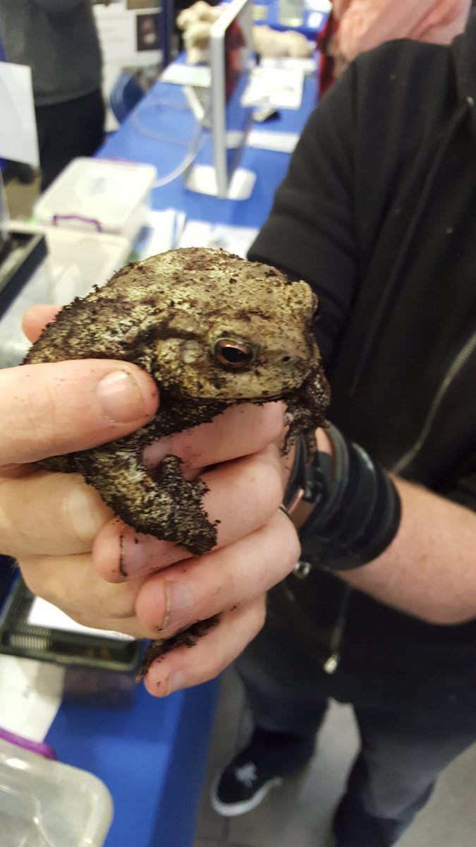 TCD_Science's tweet image. Lots of things to see at our Science stands today #TrinityOpenDay #tcdscience
