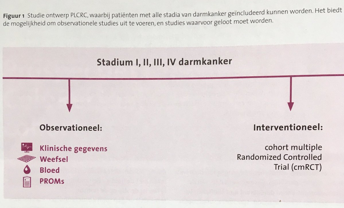 IKNL's tweet photo. Gegevens van 3.000 #darmkanker patiënten in #PLCRC. Door klinische gegevens te verzamelen ontstaat inzicht in factoren voor het succes van een behandeling. Richting therapie op maat! Meer in #Oncologica 2/2018 & https://t.co/wVOjJZg6o0 https://t.co/73tOHWBaiw
