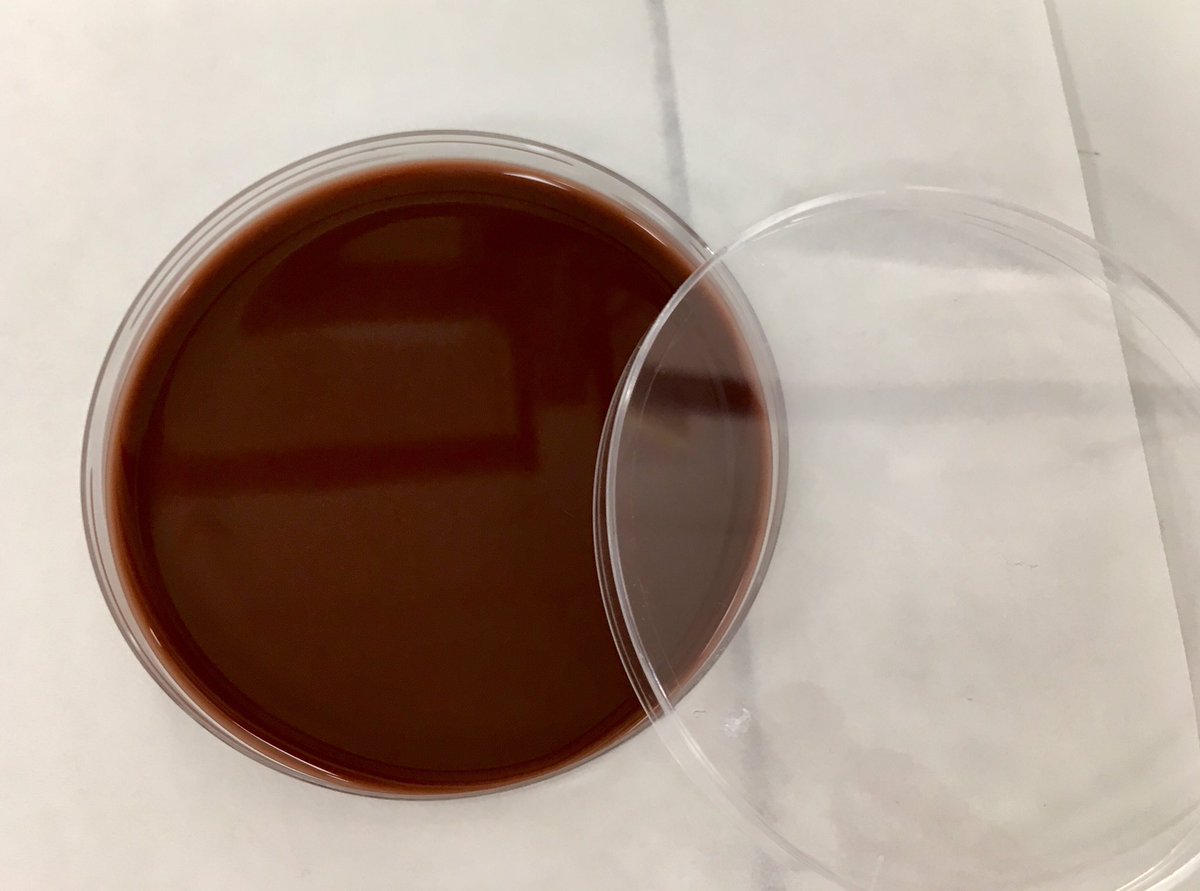 Bacteriostático on Twitter "Su fuera comida, diríamos que es un