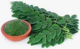LossTested's tweet photo. Hot now! The Miracle Moringa Supplement, must see! https://t.co/3U0gZrQ2Er  #Supplements #loseweight #naturalhealth #1 https://t.co/EZINEUAGgV