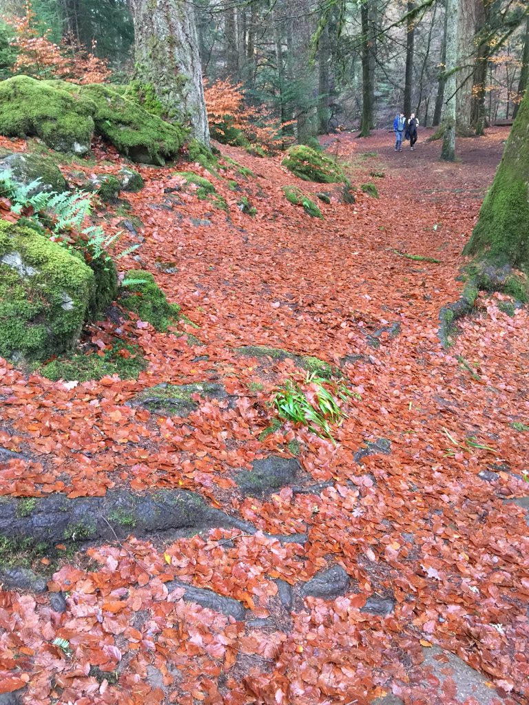 EmmaReiki's tweet photo. Beautiful Mother Earth at its best https://t.co/EFet3pMV7z