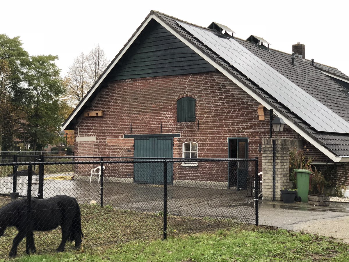JerommekeOnline's tweet photo. Te huur: ken jij gezellige huismussen of vleermuizen die van het platteland houden? Vanaf vandaag zijn ze welkom in #Ledeacker. #Ervenplus #nestkasten @Bureau_Orbis @Brab_Landschap Binnenkort op #funda 😉 https://t.co/eb20wk9KZP