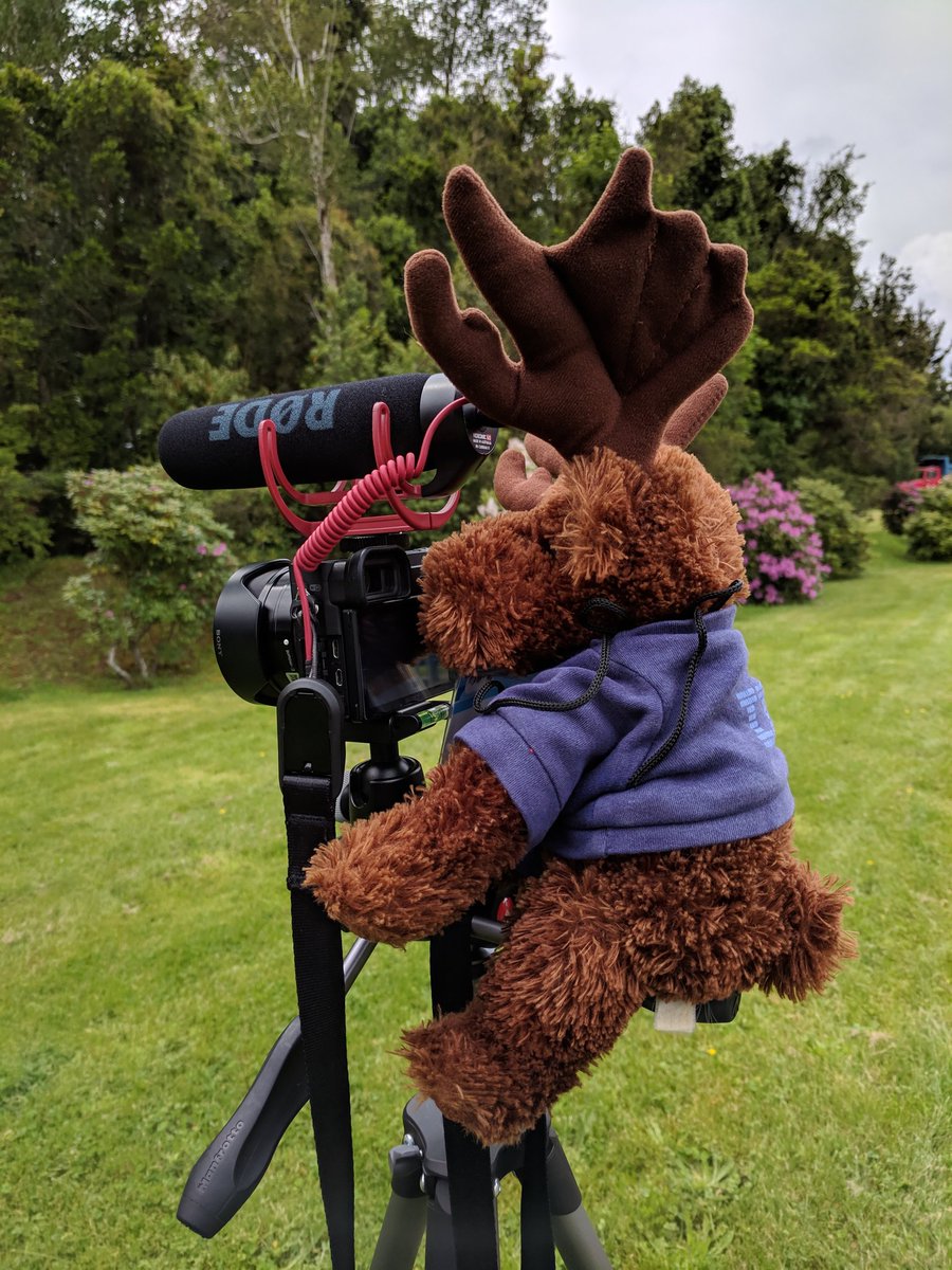 ICPCChile's tweet photo. Estamos listos para las fotos de equipos! #ICPCValdivia https://t.co/FPHastpKKd