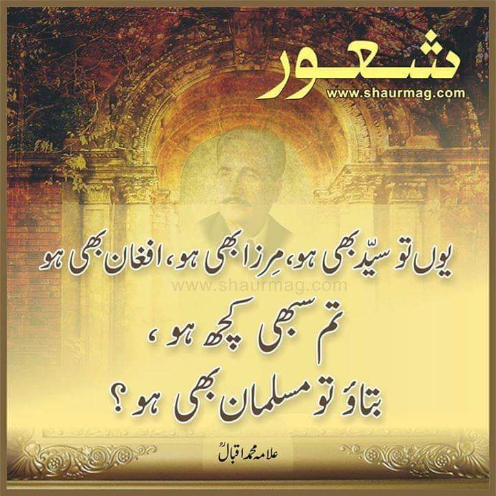 Nosheen Saeed tweet media