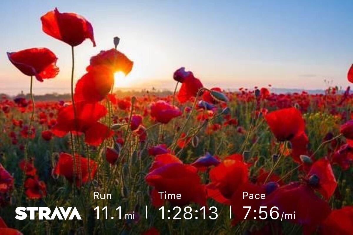 Simmypage's tweet photo. It had to be done 11.11miles #RememberanceDay2018 @Strava @Skylotec #heightec @breastcancernow lovely training run πββοΈ with a meaning #poppy https://t.co/Agm9mcCegn
