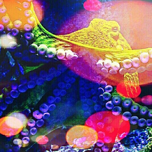 OctopusInky's tweet image. Hug Hug Hug Hug Hug🐙 #CheerMeUpIn5WordsOrLess