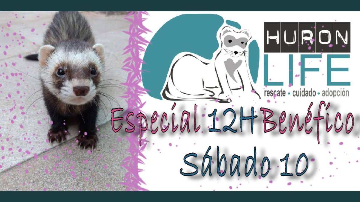 Pasaros y dar apoyo al stream de la gran <a href="/GilraenNR/">Gilraen 🐾💜🐭</a>, está haciendo un 12 horas benefico para la protectora <a href="/HuronlifeHlf/">HuronlifeHlf</a> el buen ambiente y las risas están garantizadas #SolidArmyAproves
🌟twitch.tv/gilraennr