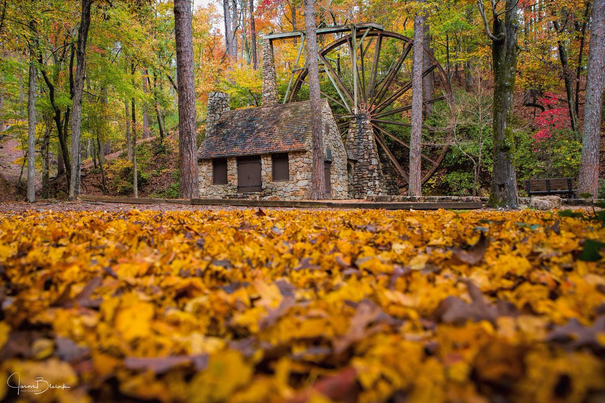 Look at these gorgeous fall colors at <a href="/berrycollege/">Berry College</a> in Rome, Georgia! 🍃 🍁 🍂