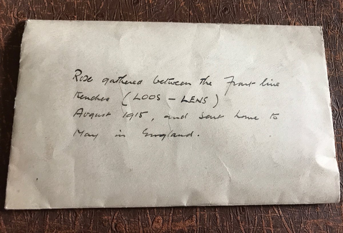 Anne Louise Avery tweet media