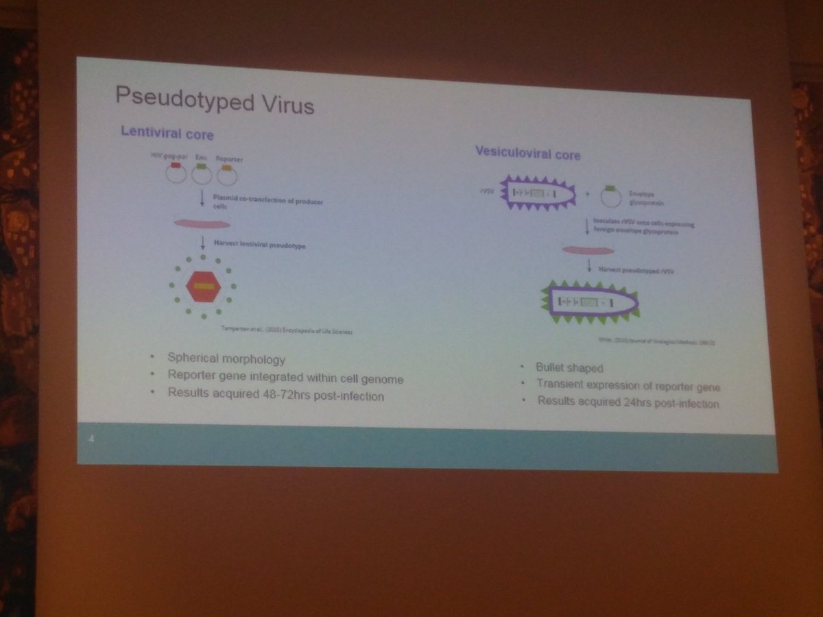 Vital work on use of #pseudotypes for characterising #emeging #virus standards by <a href="/Pseudo_Em/">Emma Bentley</a>. rVSV PV best 4 #EBOV &amp; #LASV. More targets in red 👇 (#NIV, #SUDV, #MARV &amp; #CCHFV). If you can assist w useful resources (plasma/sera) contact Emma, @NIBSCIVVG or <a href="/PseudoGm/">Giada</a> #IMED2018