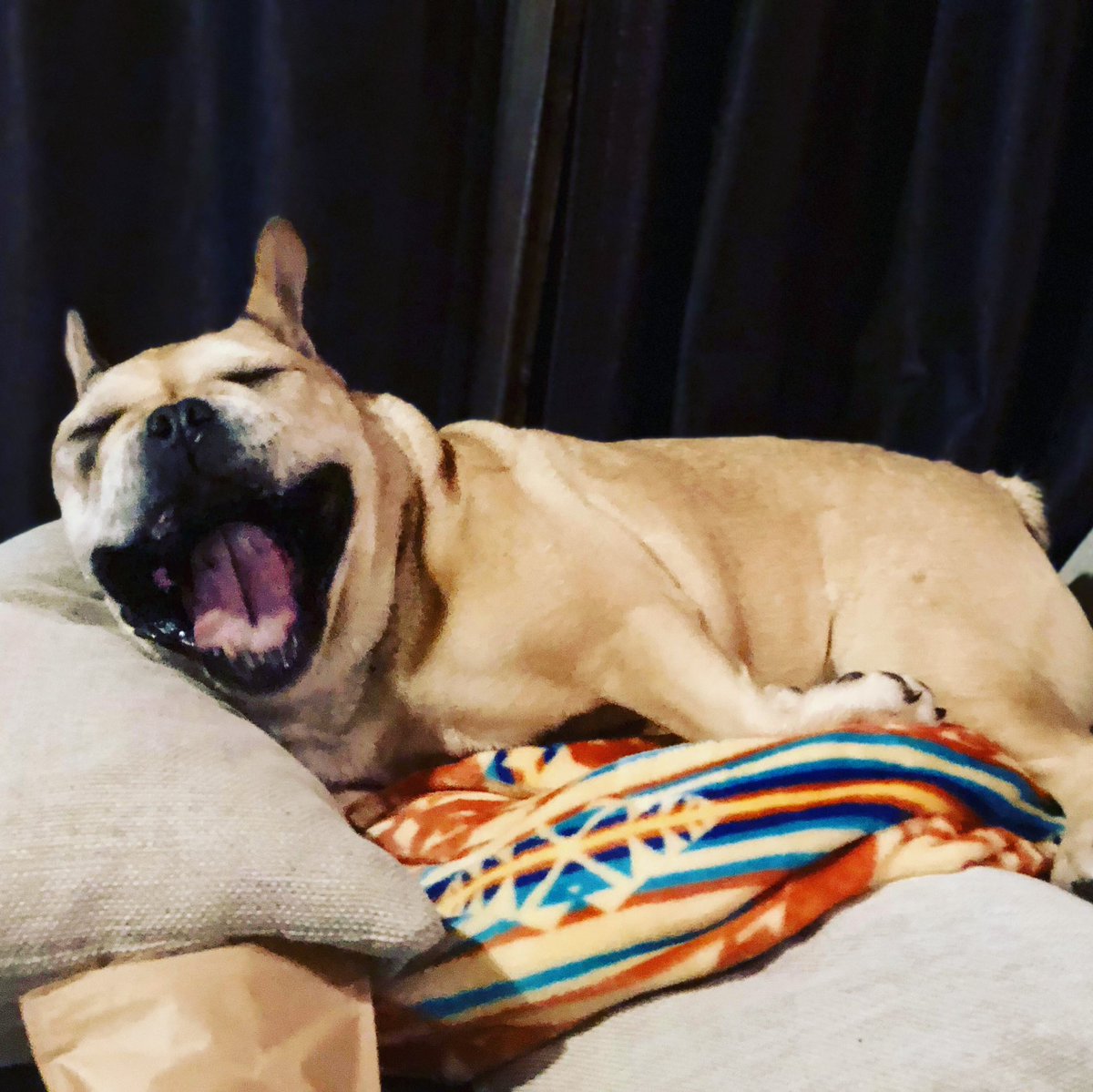 ま ー ちゃん お ー ちゃん プール