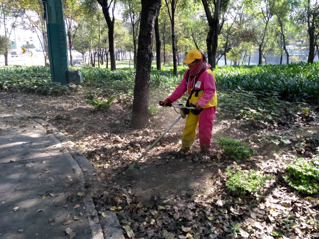 #FelizSábado ☀️ | Trabajamos en el mantenimiento integral de áreas verdes 🍃🍂🌾 en Anillo Periférico y Viaducto 👷🏻‍♂️👷🏻‍♀️ #Infórmate ⚠️ (2/2)