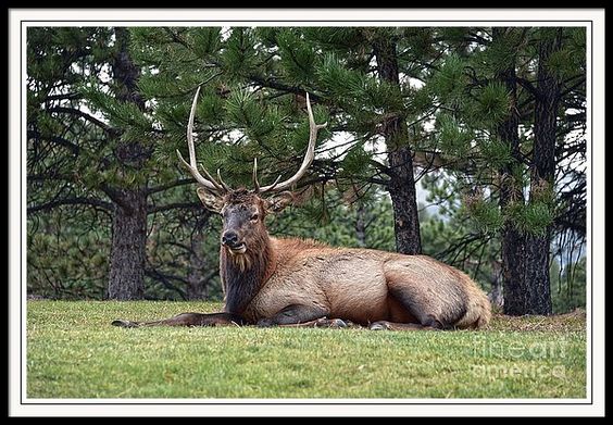 Catherine Sherman tweet media