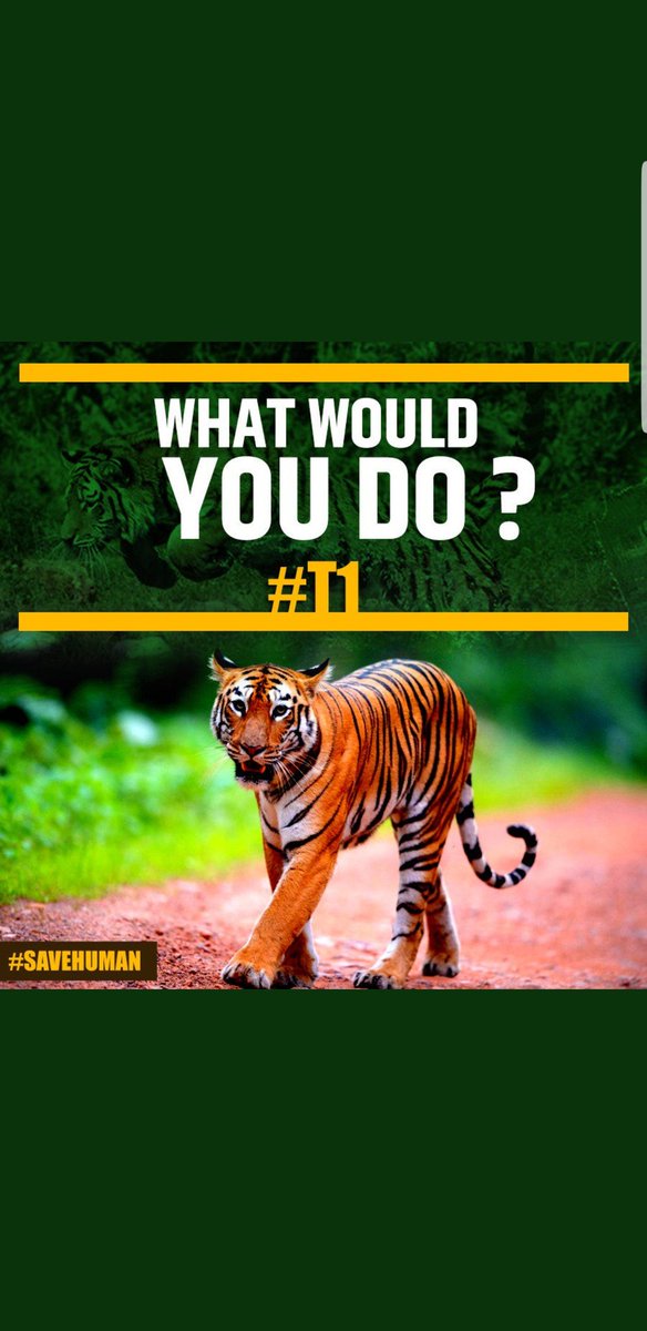 horrormeister's tweet image. #farziactivists my FOOT. They are copying/plagiarizing my images and using them without my permission.

Pehle farzi images mat lagana. Later on, you can fight the activists.