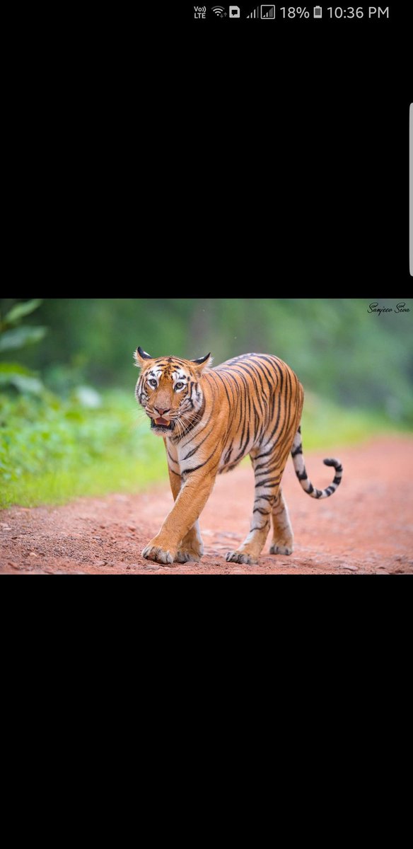 horrormeister's tweet image. #farziactivists my FOOT. They are copying/plagiarizing my images and using them without my permission.

Pehle farzi images mat lagana. Later on, you can fight the activists.